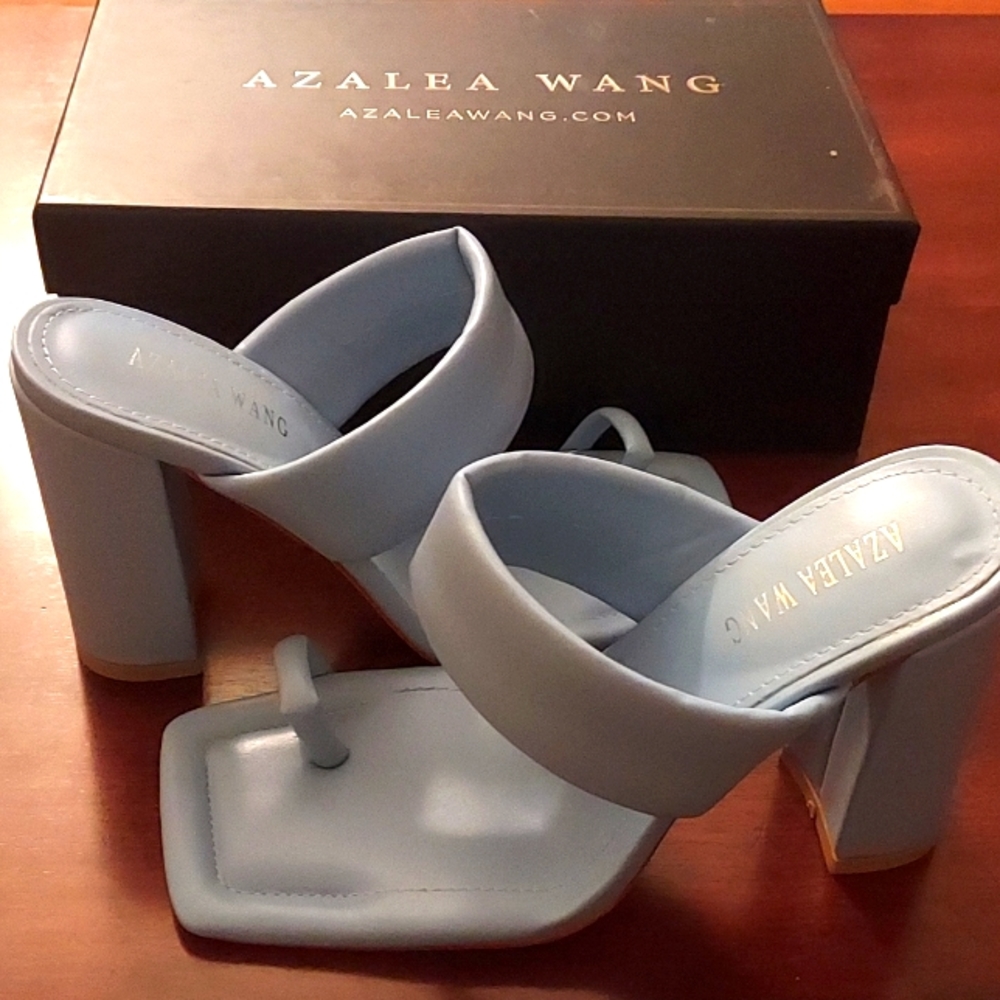 Blue Azalea Wang heels